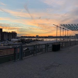 Meet your Posher, Susannah